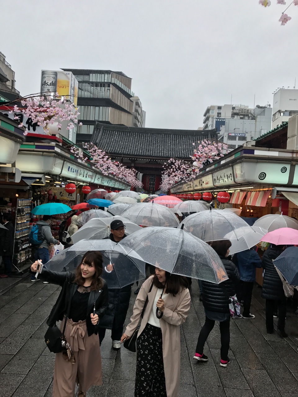 Clear Umbrellas. 
