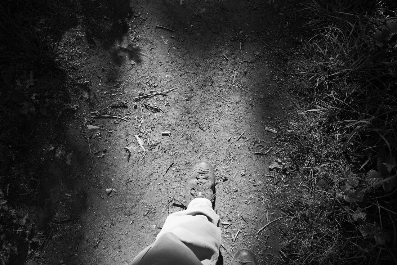 Into the Light. 