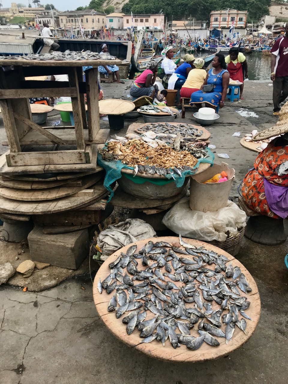 Fish on a Table. 