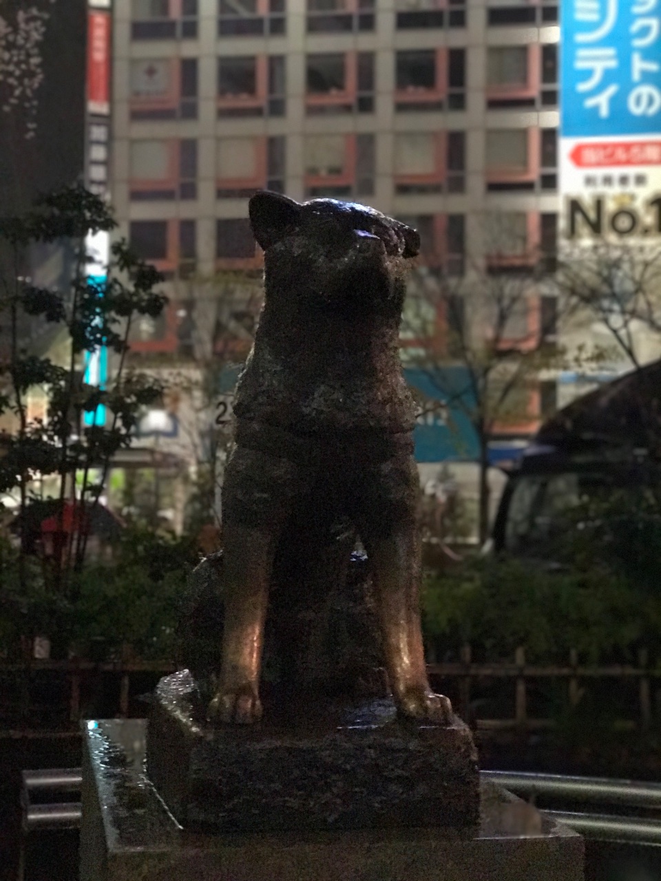 Hachikō. 