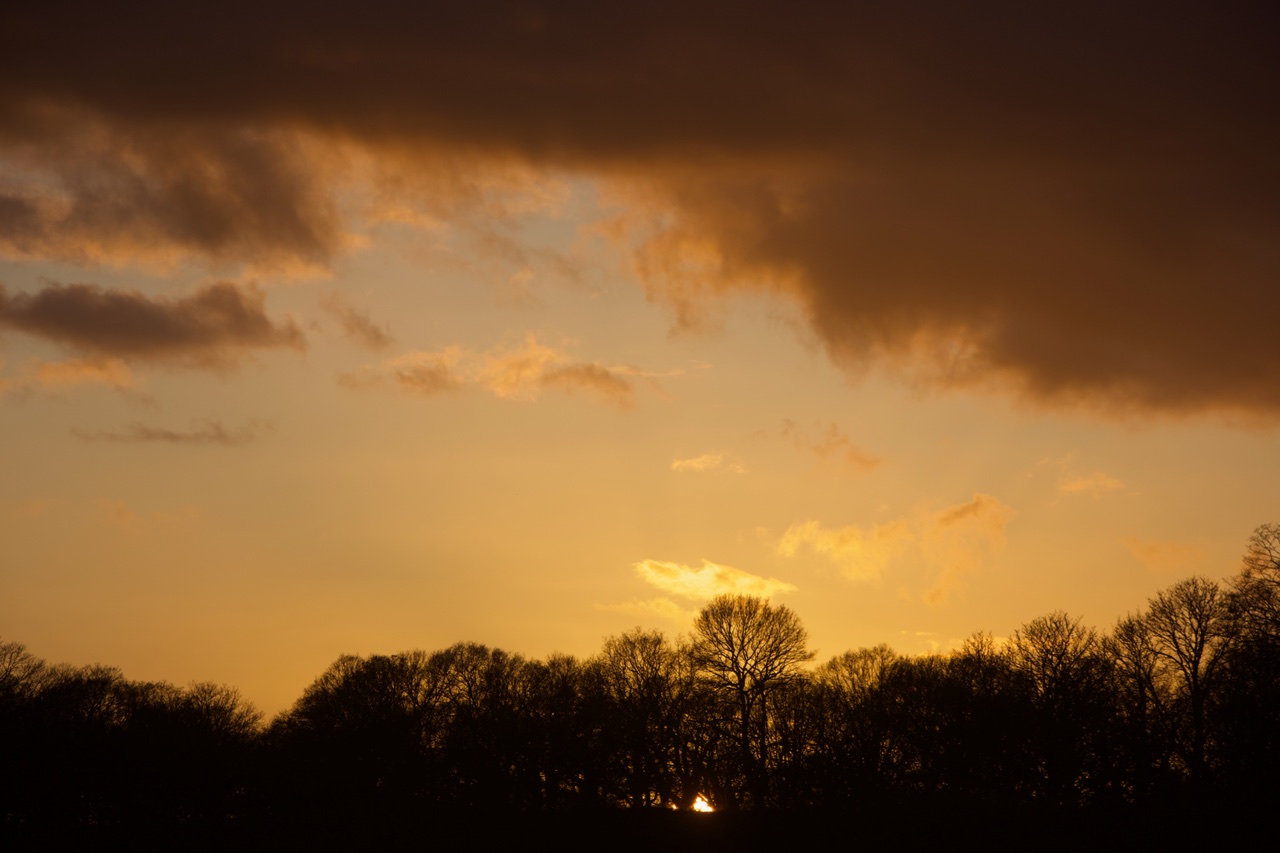 Winter Sun. 