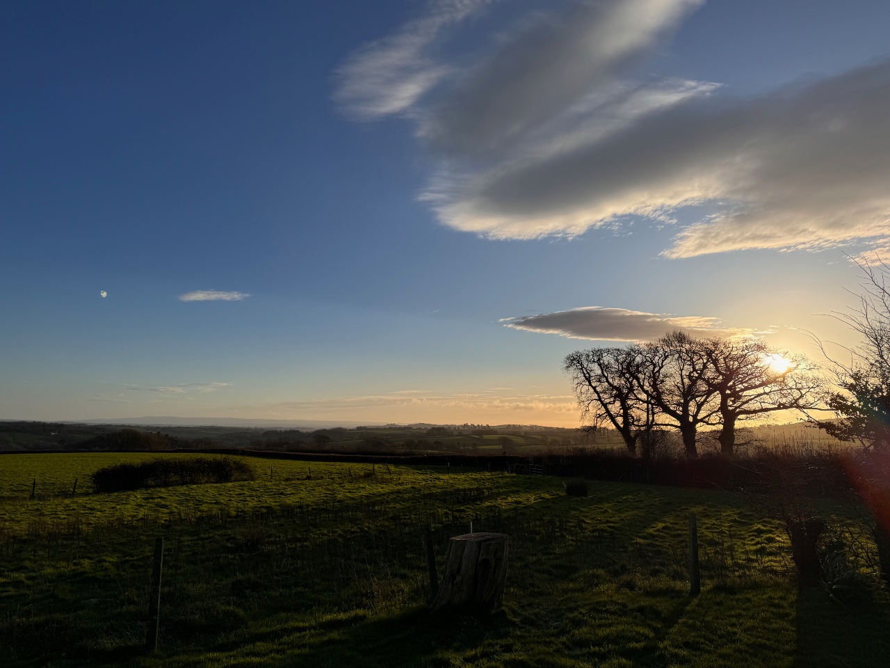 Sunlit Field. 