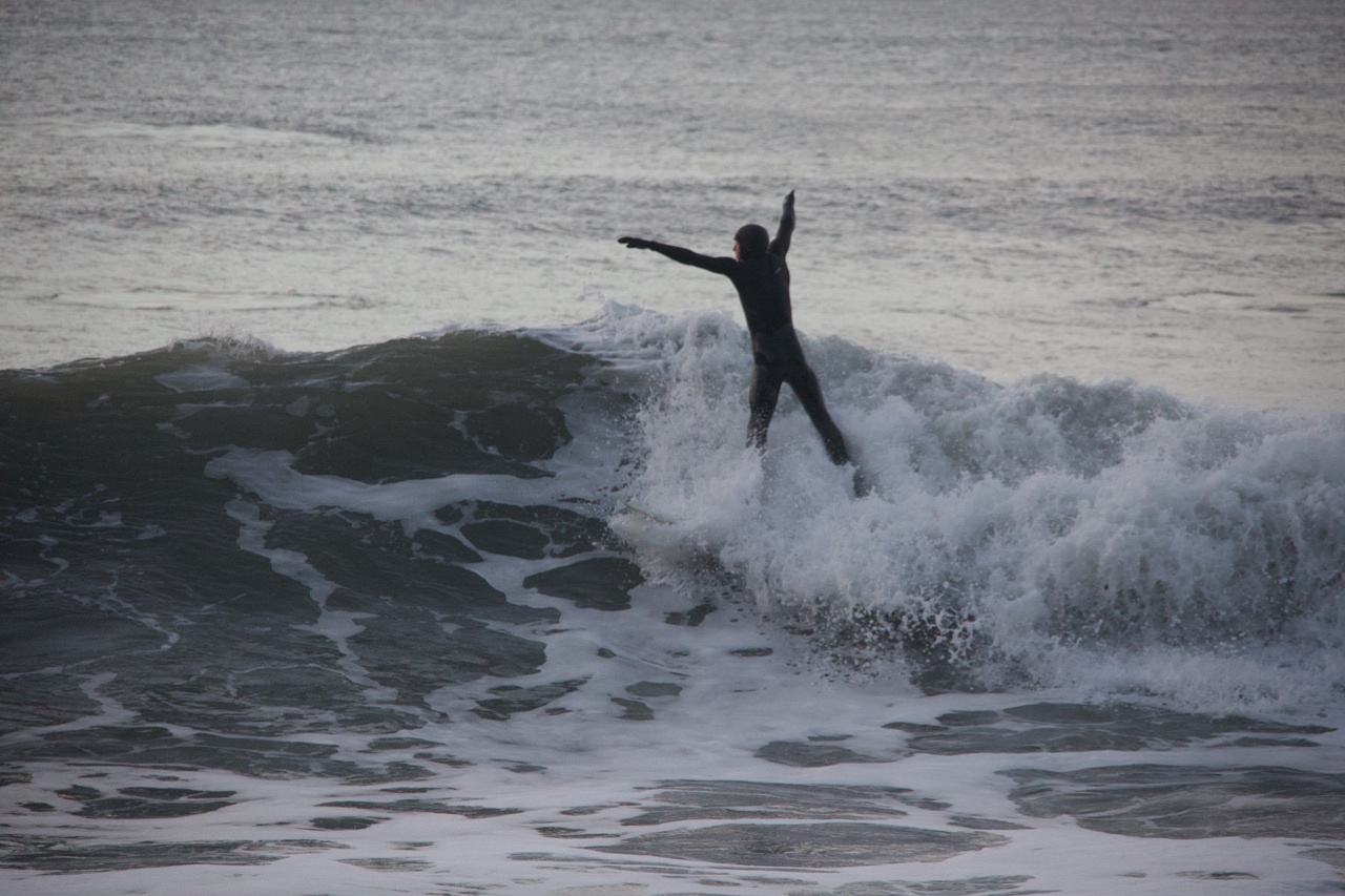 The Surfer. 
